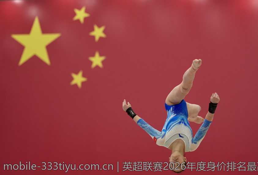 英超联赛2026年度身价排名最高的新援解析