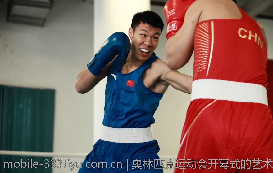 奥林匹克运动会开幕式的艺术表达