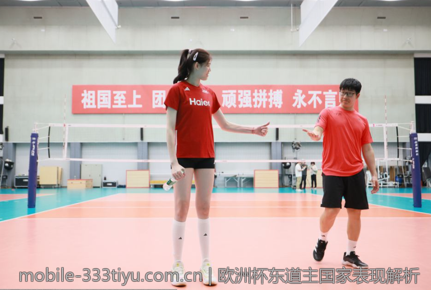 欧洲杯东道主国家表现解析