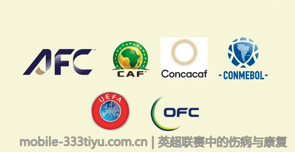 探索333体育官方网站的职业玩家故事