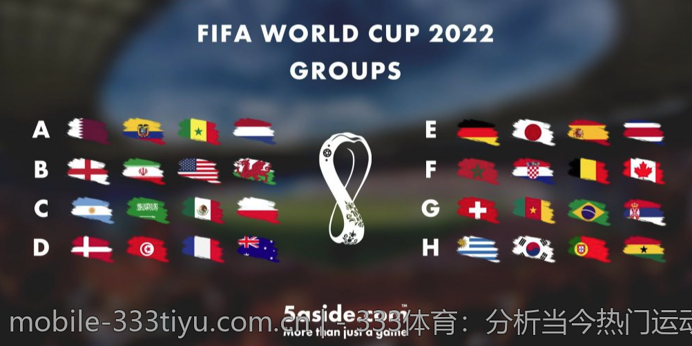 - 333体育：分析当今热门运动趋势